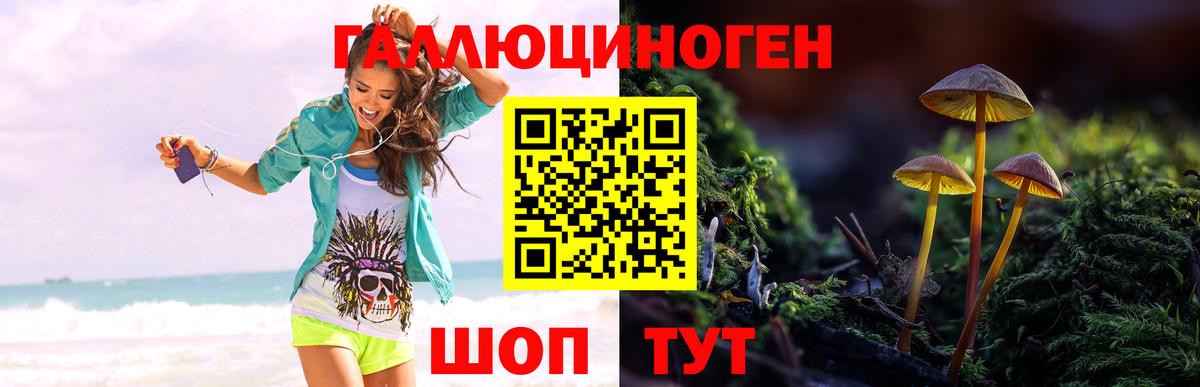Галлюциногенные грибы мицелий Екатеринбург